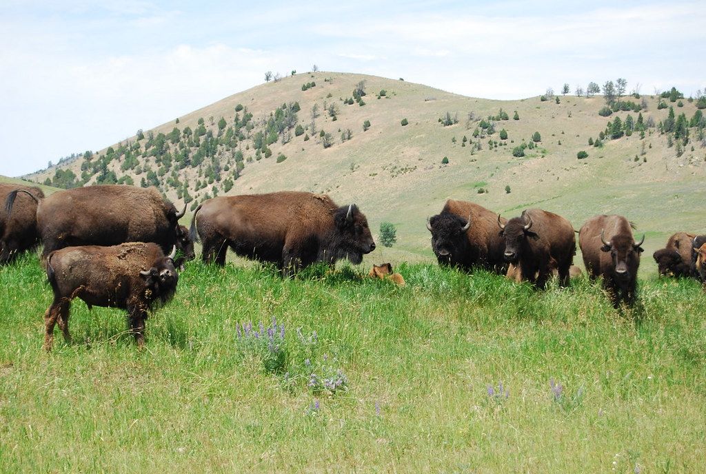 "Ancient" by Nicolás Boullosa.