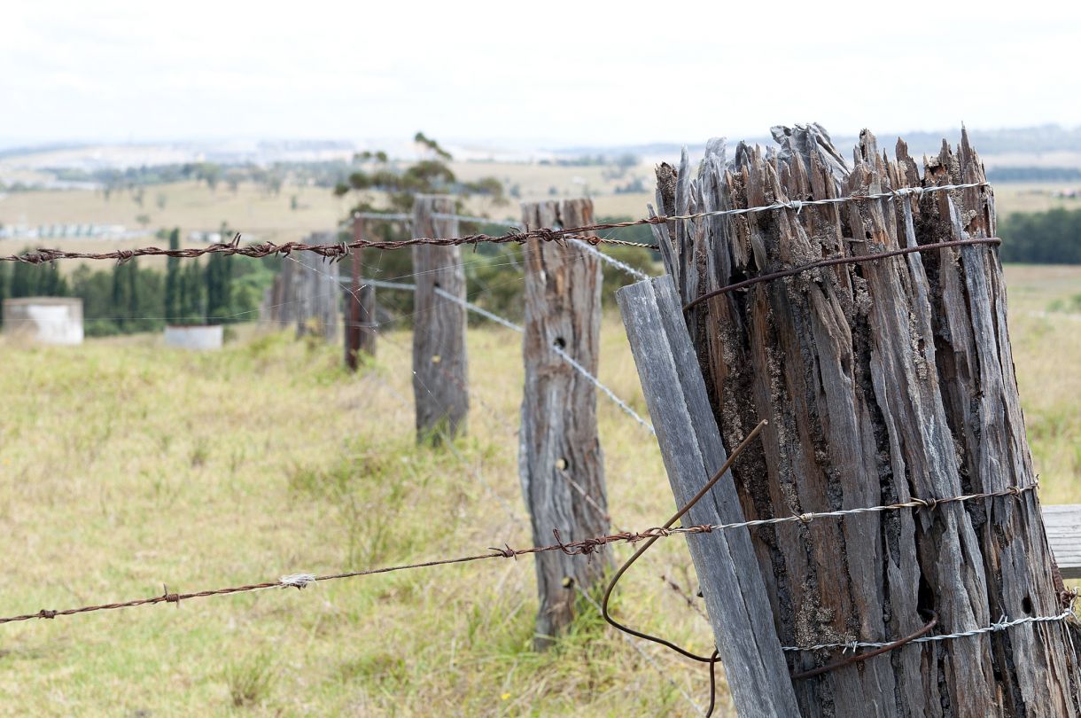 Old Fence Hunter by Jeremy Buckingham